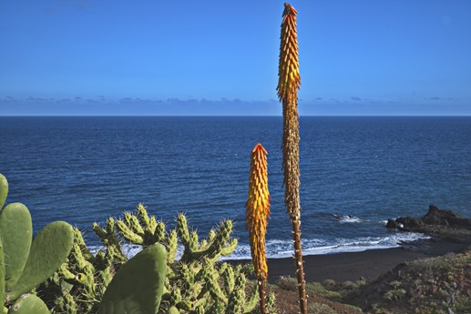23 feb 2021 Las Roques